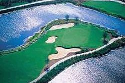 Tiburon Golf Club - Naples, Florida