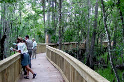 Big Cypress National Preserve Ochopee, Florida