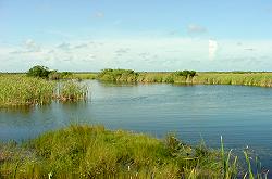 Everglades National Park Naples, Florida