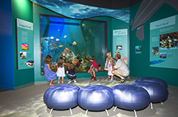 Conservancy of Southwest Florida Dalton Discovery Center and the John & Carol Walter Discovery Wing - Naples, Florida
