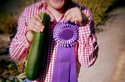 Collier County Fair - Naples, Florida