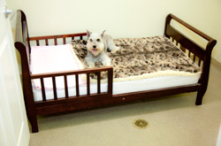 Bayridge Veterinary Hospital Naples, Florida