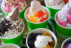 Spin Frozen Yogurt - Naples, Florida