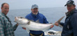 Southern Viking Charters