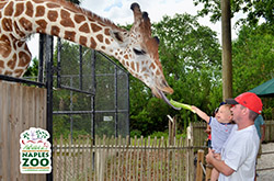 Naples Zoo at Caribbean Gardens - Naples, Florida