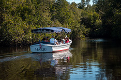 Conservancy of Southwest Florida Naples, Florida