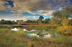 Conservancy of Southwest Florida - Naples, Florida