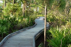 The Naples Preserve Naples, Florida