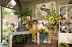 Peach Tree Designs Naples, Florida