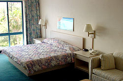 Comfort Inn & Executive Suites - Naples, Florida