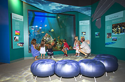 Conservancy of Southwest Florida Dalton Discovery Center and the John & Carol Walter Discovery Wing - Naples, Florida