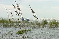 Clam Pass Beach Park Naples, Florida