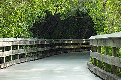 Clam Pass Beach Park - Naples, Florida