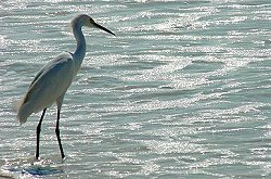 Vanderbilt Beach Park - Naples, Florida