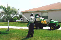 Castillo Lawn Service, Inc. Naples, Florida