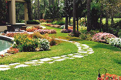 Castillo Lawn Service, Inc. Naples, Florida