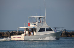 Capt. Marvel Charters - Isles of Capri, Florida