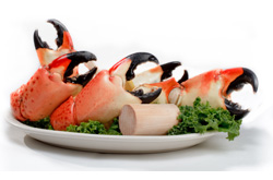 Stone Crab Festival - Naples, Florida