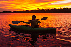 Naples Kayak Rentals at Naples Bay Resort Naples, Florida