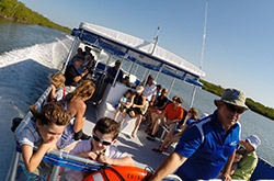 Pure Fort Myers - Best River Cruises in Fort Myers Fort Myers, Florida