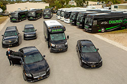 Dolphin Transportation Specialists, Inc. - Naples, Florida