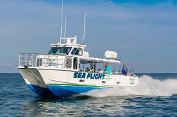 Tin City Boats in Naples Naples, Florida