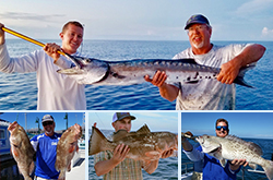 Sea Flight Fishing Naples, Florida