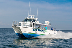 Sea Flight Fishing Naples, Florida
