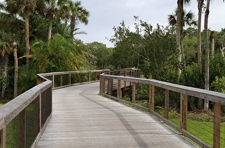 Gordon River Greenway Naples, Florida