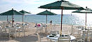 The Turtle Club Restaurant