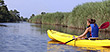 Naples Kayak Rentals at Naples Bay Resort