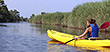 Naples Kayak Rentals at Naples Bay Resort