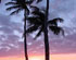 Sunset at one of Naples Florida Beaches close to the Naples Pier.