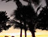 Naples Florida Beaches and Sunsets... The moment is short, the memory is long.