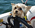 <i>Photo Courtesy Cindi Alpert</i>
